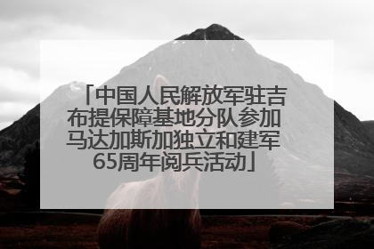 中国人民解放军驻吉布提保障基地分队参加马达加斯加独立和建军65周年阅兵活动