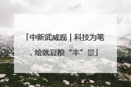 中新武威观｜科技为笔，绘就夏粮“丰”景
