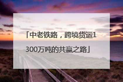 中老铁路，跨境货运1300万吨的共赢之路