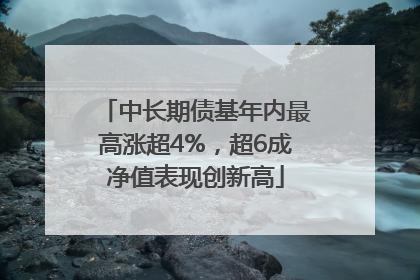 中长期债基年内最高涨超4%，超6成净值表现创新高