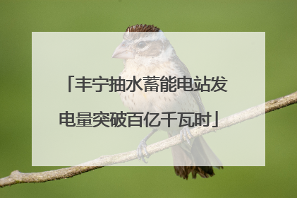 丰宁抽水蓄能电站发电量突破百亿千瓦时