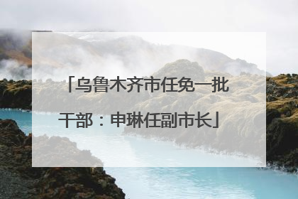 乌鲁木齐市任免一批干部：申琳任副市长