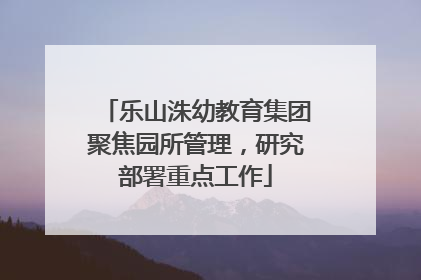 乐山洙幼教育集团聚焦园所管理，研究部署重点工作