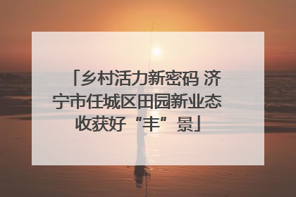 乡村活力新密码 济宁市任城区田园新业态收获好“丰”景