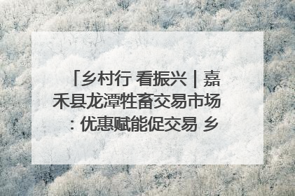 乡村行 看振兴｜嘉禾县龙潭牲畜交易市场：优惠赋能促交易 乡村振兴添动能