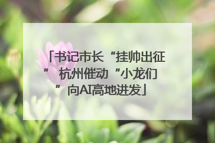 书记市长“挂帅出征” 杭州催动“小龙们”向AI高地进发