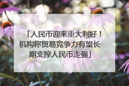 人民币迎来重大利好！机构称贸易竞争力有望长期支撑人民币走强