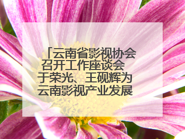 云南省影视协会召开工作座谈会 于荣光、王砚辉为云南影视产业发展出谋划策