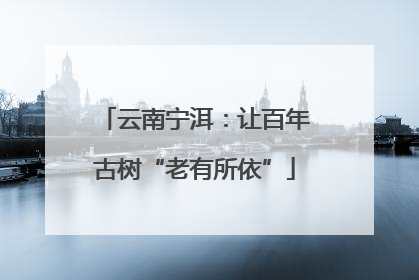 云南宁洱：让百年古树“老有所依”