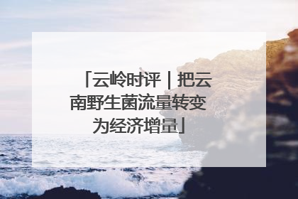 云岭时评｜把云南野生菌流量转变为经济增量