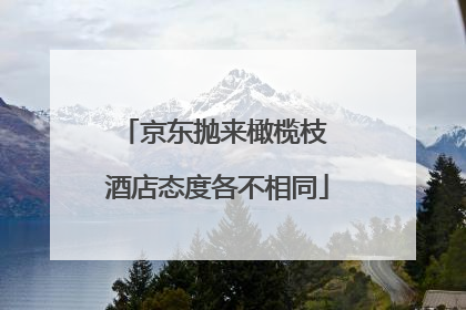京东抛来橄榄枝 酒店态度各不相同