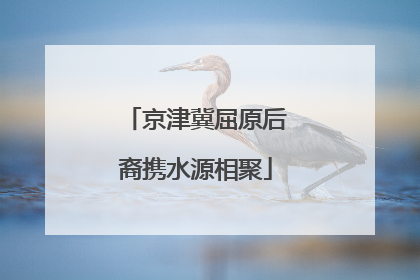 京津冀屈原后裔携水源相聚