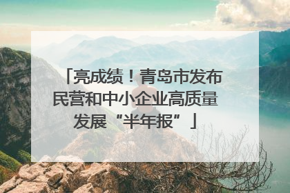 亮成绩！青岛市发布民营和中小企业高质量发展“半年报”
