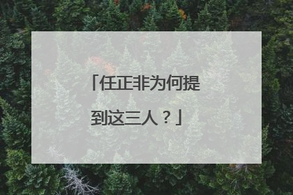 任正非为何提到这三人？