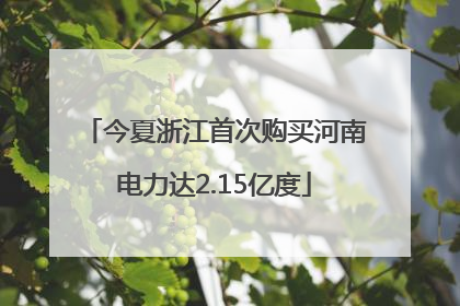 今夏浙江首次购买河南电力达2.15亿度