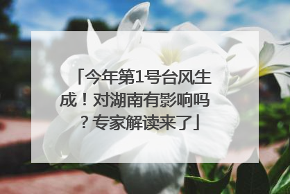 今年第1号台风生成！对湖南有影响吗？专家解读来了