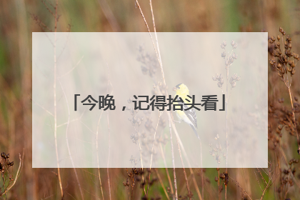 今晚，记得抬头看