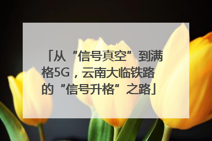 从“信号真空”到满格5G，云南大临铁路的“信号升格”之路