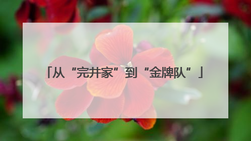 从“完井家”到“金牌队”