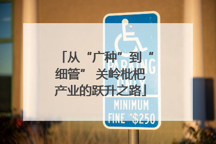 从“广种”到“细管” 关岭枇杷产业的跃升之路