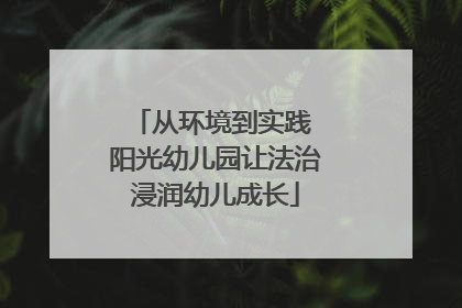 从环境到实践 阳光幼儿园让法治浸润幼儿成长