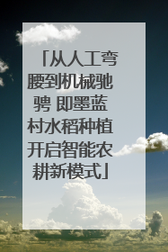 从人工弯腰到机械驰骋 即墨蓝村水稻种植开启智能农耕新模式