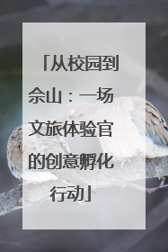 从校园到佘山：一场文旅体验官的创意孵化行动