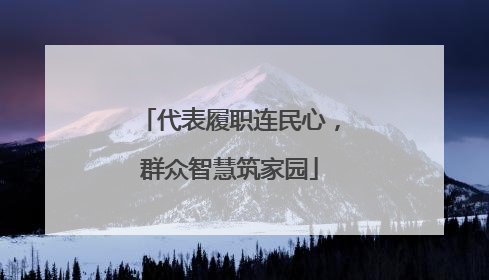 代表履职连民心，群众智慧筑家园