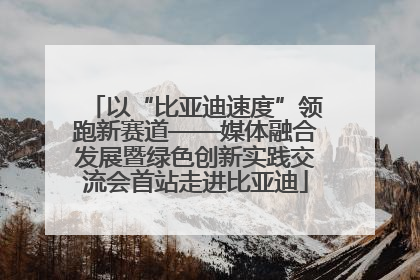 以“比亚迪速度”领跑新赛道——媒体融合发展暨绿色创新实践交流会首站走进比亚迪