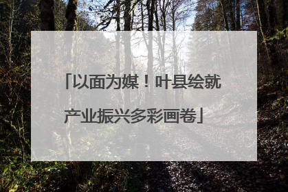 以面为媒！叶县绘就产业振兴多彩画卷