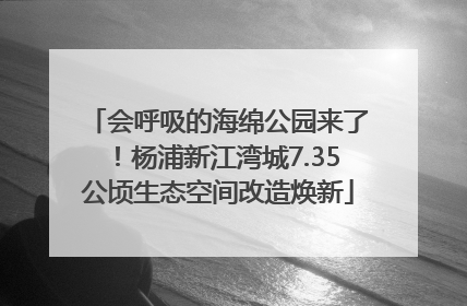 会呼吸的海绵公园来了！杨浦新江湾城7.35公顷生态空间改造焕新