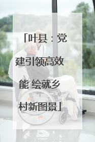 叶县：党建引领高效能 绘就乡村新图景