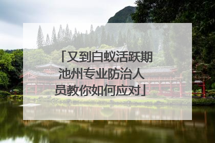 又到白蚁活跃期 池州专业防治人员教你如何应对
