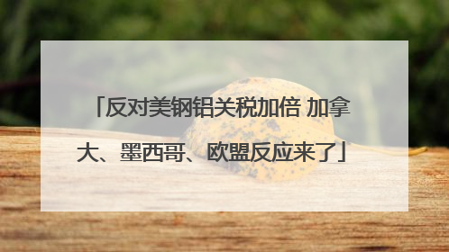 反对美钢铝关税加倍 加拿大、墨西哥、欧盟反应来了