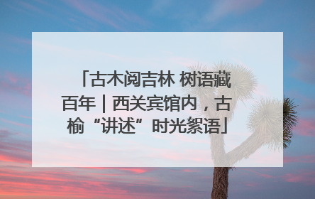 古木阅吉林 树语藏百年｜西关宾馆内，古榆“讲述”时光絮语