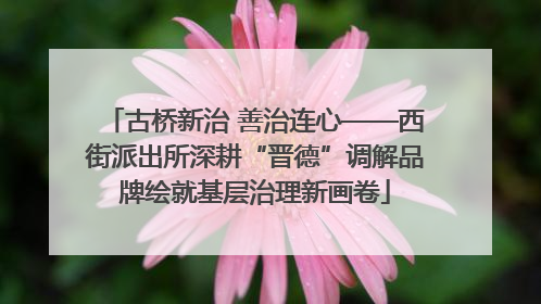 古桥新治 善治连心——西街派出所深耕“晋德”调解品牌绘就基层治理新画卷