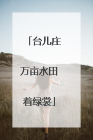 台儿庄万亩水田着绿裳