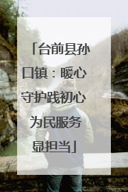 台前县孙口镇：暖心守护践初心 为民服务显担当