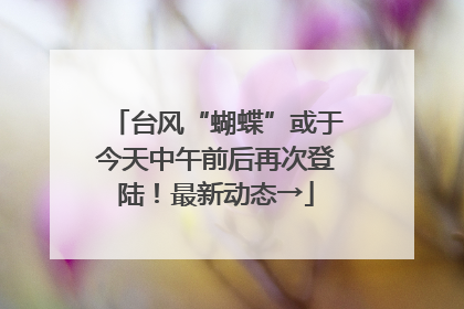 台风“蝴蝶”或于今天中午前后再次登陆！最新动态→