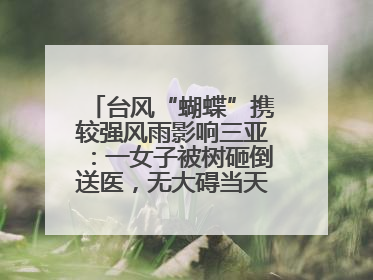 台风“蝴蝶”携较强风雨影响三亚：一女子被树砸倒送医，无大碍当天回家 当地已紧急清障