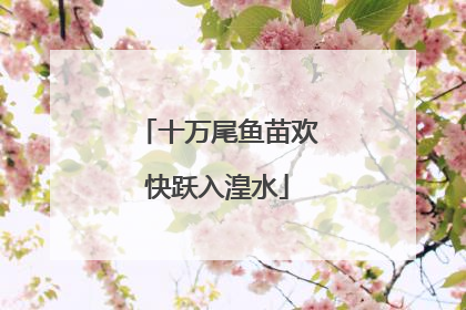 十万尾鱼苗欢快跃入湟水