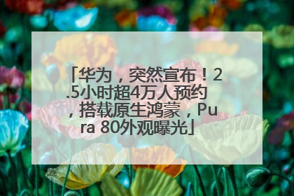 华为，突然宣布！2.5小时超4万人预约，搭载原生鸿蒙，Pura 80外观曝光