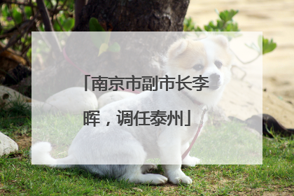 南京市副市长李晖，调任泰州