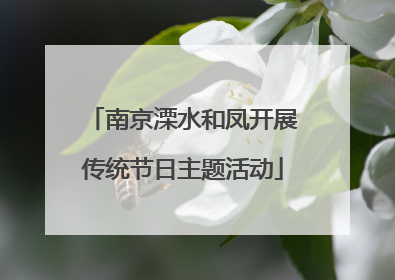 南京溧水和凤开展传统节日主题活动