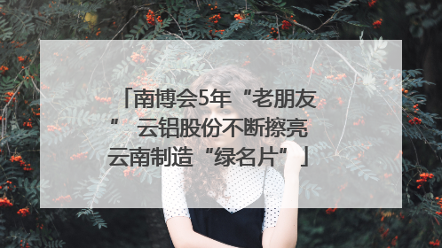 南博会5年“老朋友” 云铝股份不断擦亮云南制造“绿名片”