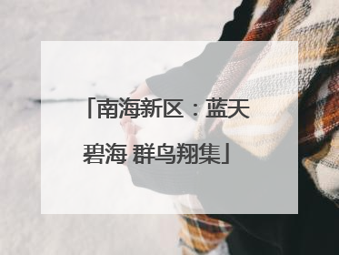 南海新区：蓝天碧海 群鸟翔集