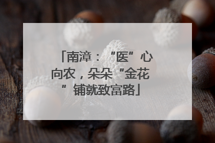 南漳：“医”心向农，朵朵“金花”铺就致富路