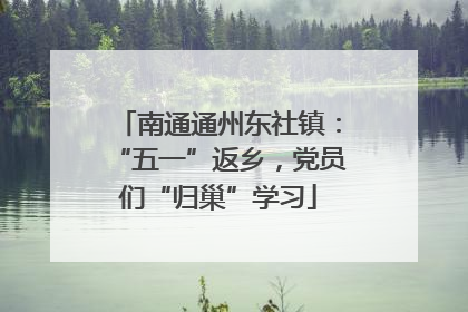 南通通州东社镇：“五一”返乡，党员们“归巢”学习