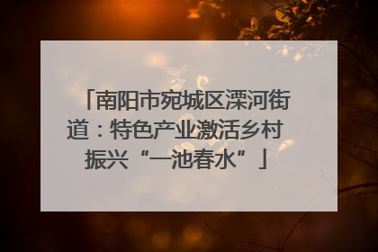 南阳市宛城区溧河街道：特色产业激活乡村振兴“一池春水”