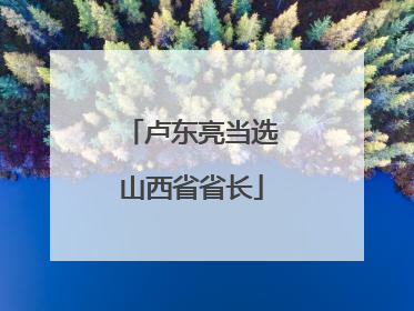 卢东亮当选山西省省长